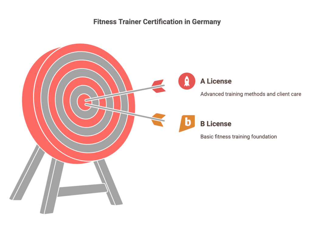 Chart of Fitness trainer certification requirements in Germany. The B License is the entry-level qualification, while the A License provides advanced training methods. Certification level impacts income and job opportunities for freelance trainers in Germany.